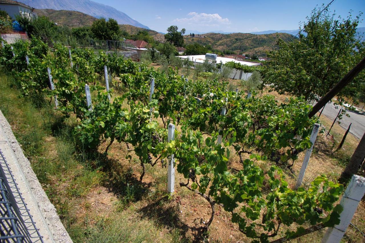 Frühstückspension Shametaj Gjirokastër